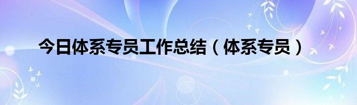 今日体系专员工作总结（体系专员）