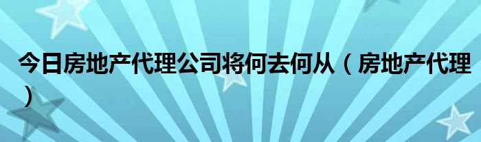 今日房地产代理公司将何去何从（房地产代理）