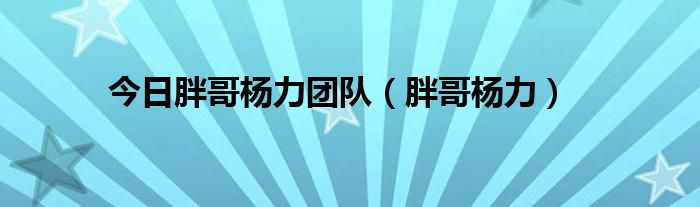 今日胖哥杨力团队（胖哥杨力）