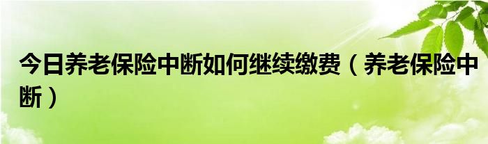 今日养老保险中断如何继续缴费（养老保险中断）