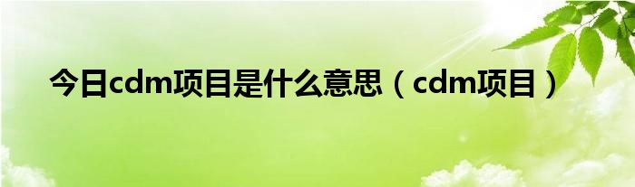 今日cdm项目是什么意思（cdm项目）