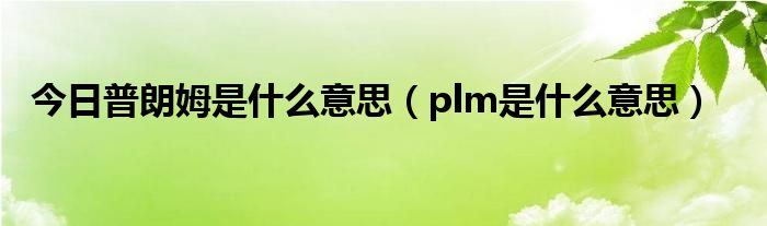 今日普朗姆是什么意思（plm是什么意思）