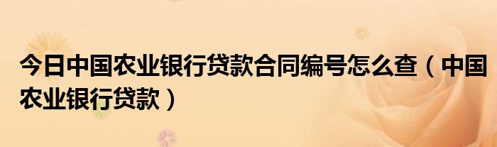 今日中国农业银行贷款合同编号怎么查（中国农业银行贷款）