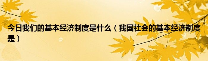 今日我们的基本经济制度是什么（我国社会的基本经济制度是）