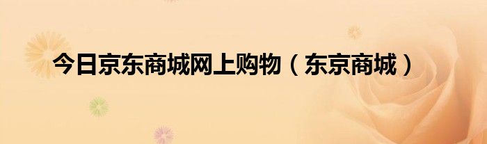 今日京东商城网上购物（东京商城）