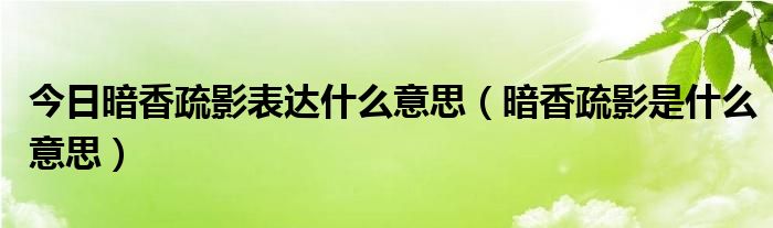 今日暗香疏影表达什么意思（暗香疏影是什么意思）