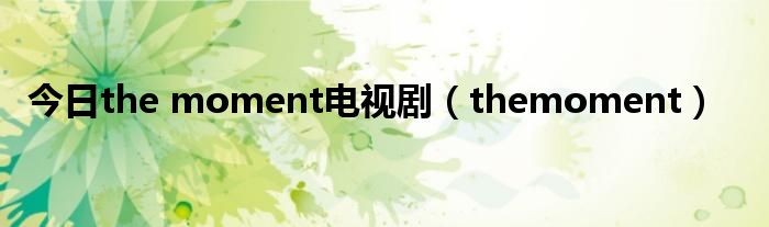 今日the moment电视剧（themoment）