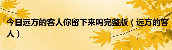 今日远方的客人你留下来吗完整版（远方的客人）