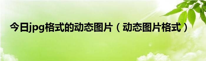 今日jpg格式的动态图片（动态图片格式）