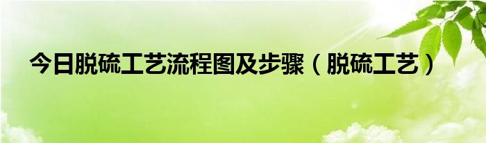 今日脱硫工艺流程图及步骤（脱硫工艺）