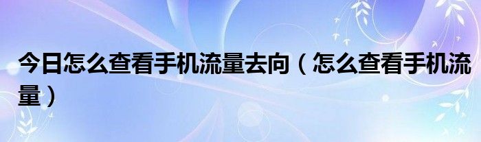 今日怎么查看手机流量去向（怎么查看手机流量）