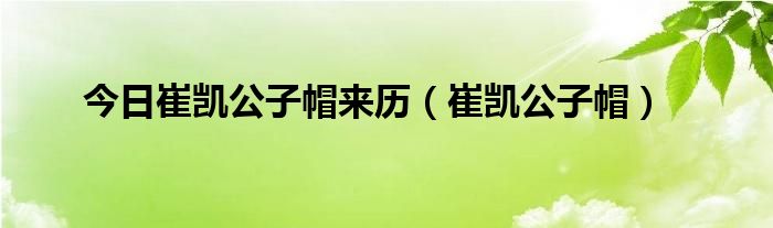 今日崔凯公子帽来历（崔凯公子帽）