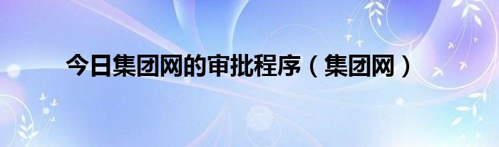 今日集团网的审批程序（集团网）