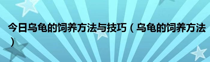 今日乌龟的饲养方法与技巧（乌龟的饲养方法）