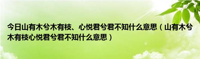 今日山有木兮木有枝、心悦君兮君不知什么意思（山有木兮木有枝心悦君兮君不知什么意思）