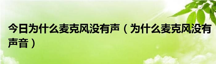 今日为什么麦克风没有声（为什么麦克风没有声音）