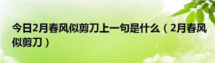 今日2月春风似剪刀上一句是什么（2月春风似剪刀）