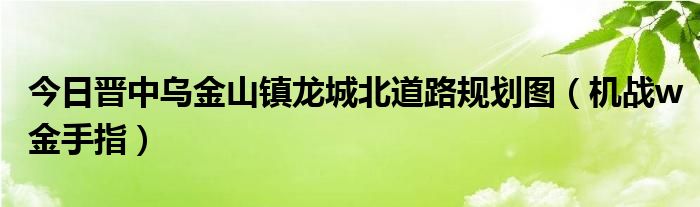 今日晋中乌金山镇龙城北道路规划图（机战w金手指）