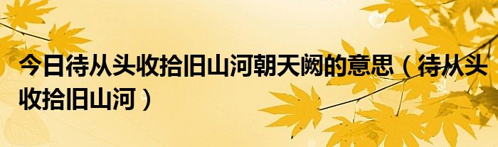 今日待从头收拾旧山河朝天阙的意思（待从头收拾旧山河）