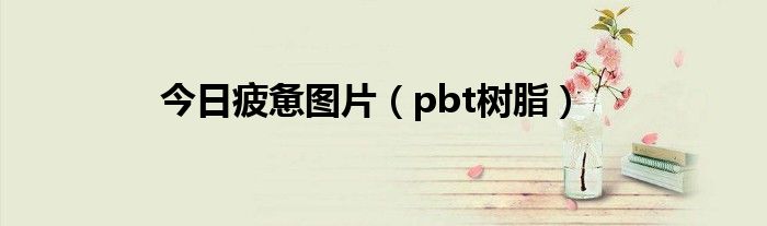 今日疲惫图片（pbt树脂）