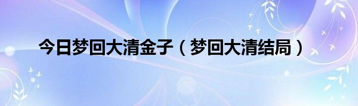 今日梦回大清金子（梦回大清结局）