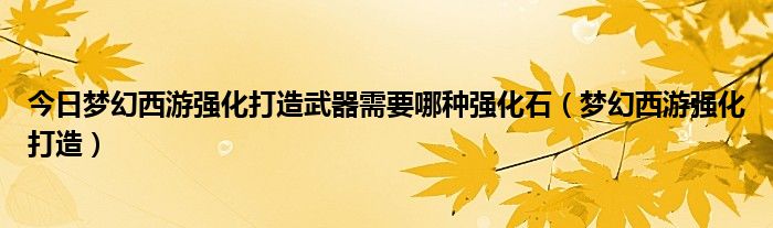 今日梦幻西游强化打造武器需要哪种强化石（梦幻西游强化打造）