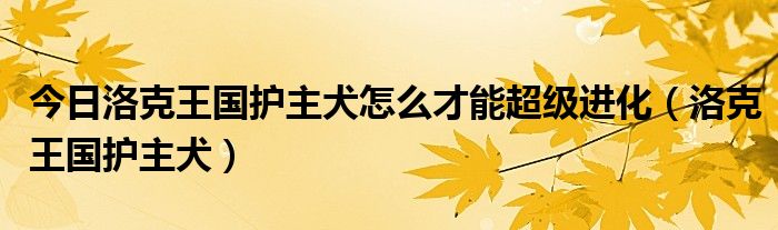 今日洛克王国护主犬怎么才能超级进化（洛克王国护主犬）