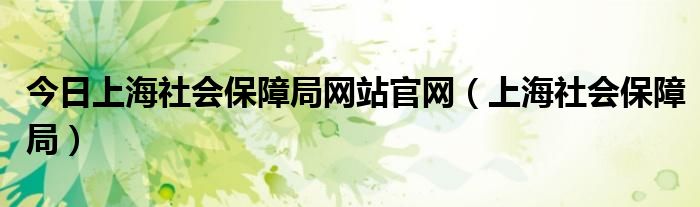 今日上海社会保障局网站官网（上海社会保障局）