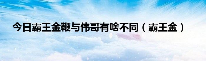 今日霸王金鞭与伟哥有啥不同（霸王金）