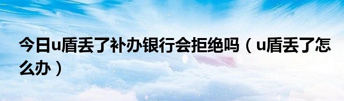 今日u盾丢了补办银行会拒绝吗（u盾丢了怎么办）