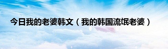 今日我的老婆韩文（我的韩国流氓老婆）