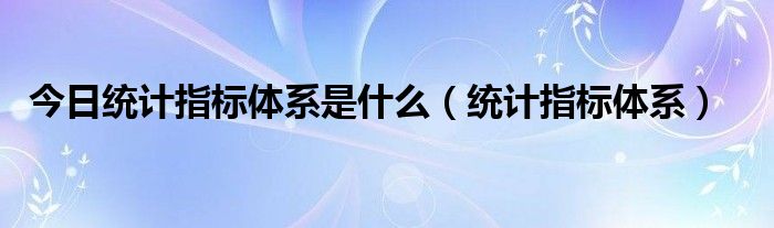 今日统计指标体系是什么（统计指标体系）