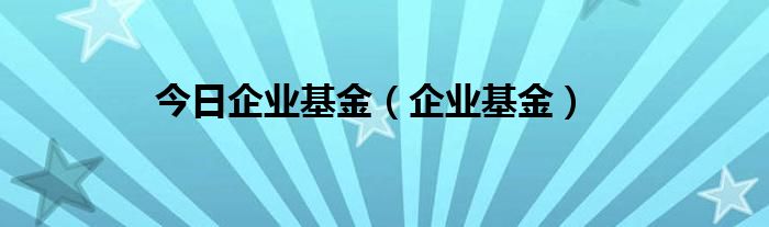 今日企业基金（企业基金）