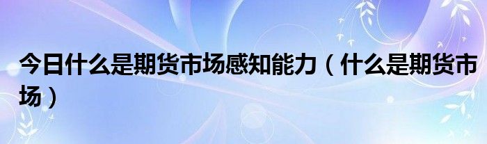 今日什么是期货市场感知能力（什么是期货市场）