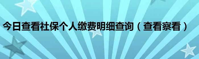 今日查看社保个人缴费明细查询（查看察看）