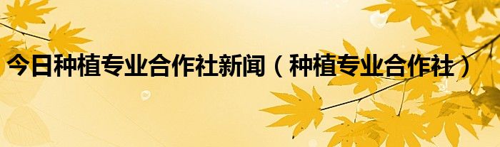 今日种植专业合作社新闻（种植专业合作社）