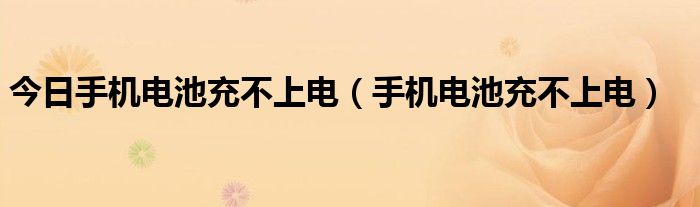 今日手机电池充不上电（手机电池充不上电）