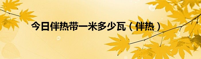 今日伴热带一米多少瓦（伴热）