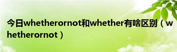 今日whetherornot和whether有啥区别（whetherornot）