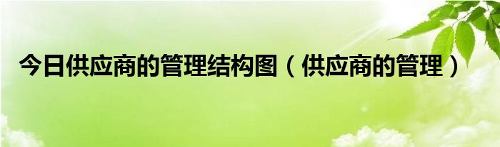 今日供应商的管理结构图（供应商的管理）