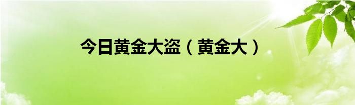 今日黄金大盗（黄金大）