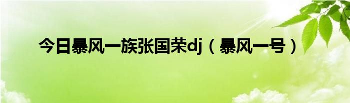 今日暴风一族张国荣dj（暴风一号）