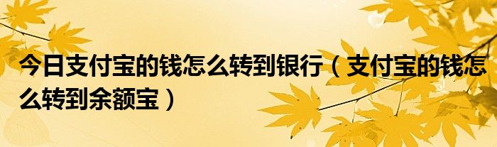 今日支付宝的钱怎么转到银行（支付宝的钱怎么转到余额宝）