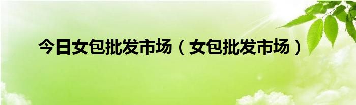 今日女包批发市场（女包批发市场）