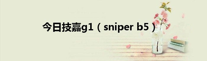 今日技嘉g1（sniper b5）