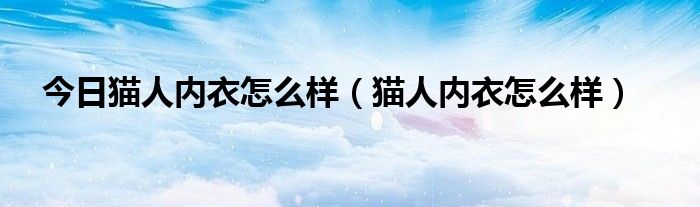 今日猫人内衣怎么样（猫人内衣怎么样）