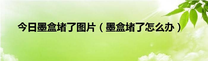 今日墨盒堵了图片（墨盒堵了怎么办）