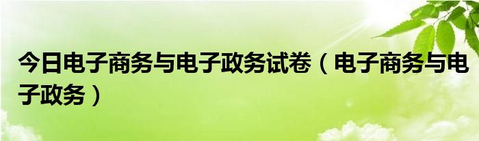 今日电子商务与电子政务试卷（电子商务与电子政务）