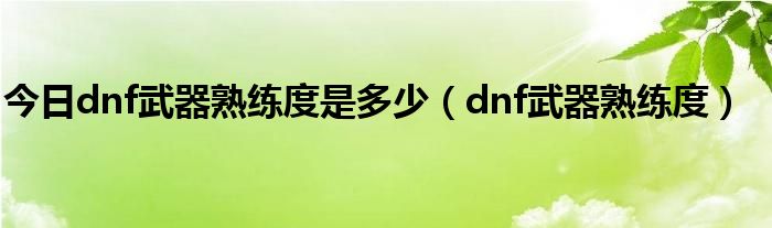 今日dnf武器熟练度是多少（dnf武器熟练度）