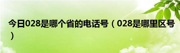 今日028是哪个省的电话号（028是哪里区号）